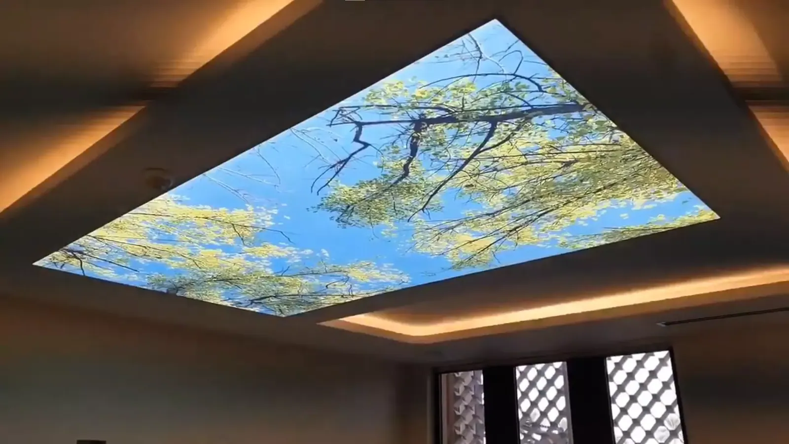 3D натяжной потолок — Сочи, Кирова, 73а, фото 1